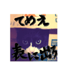 使えるりーらんスタンプ（個別スタンプ：2）