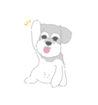 小松家のポン太vol.1（個別スタンプ：1）