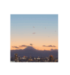 Twilight  Photo.（個別スタンプ：6）