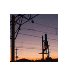 Twilight  Photo.（個別スタンプ：7）