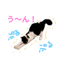 猫猫三姉妹スタンプ（Cat sisters）（個別スタンプ：1）