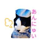 猫猫三姉妹スタンプ（Cat sisters）（個別スタンプ：2）