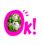 お花スタンプ0（個別スタンプ：5）