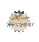 愛犬むぎたろす（個別スタンプ：4）