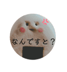 伝わるスタンプおむすびのmusubiちゃん（個別スタンプ：29）