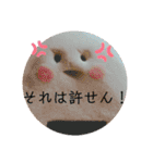 伝わるスタンプおむすびのmusubiちゃん（個別スタンプ：30）