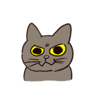 様々なねこ（個別スタンプ：1）