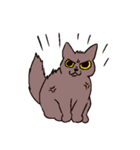 様々なねこ（個別スタンプ：6）