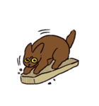 様々なねこ（個別スタンプ：8）