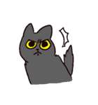 様々なねこ（個別スタンプ：11）