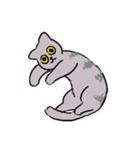 様々なねこ（個別スタンプ：13）