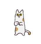 様々なねこ（個別スタンプ：17）