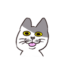 様々なねこ（個別スタンプ：19）
