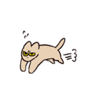 様々なねこ（個別スタンプ：25）