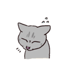 様々なねこ（個別スタンプ：27）