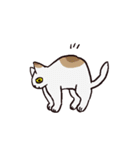 様々なねこ（個別スタンプ：29）