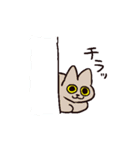 様々なねこ（個別スタンプ：30）