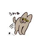 様々なねこ（個別スタンプ：37）