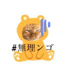 ワイらの生活（個別スタンプ：1）