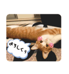 ワイらの生活（個別スタンプ：6）