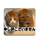 ワイらの生活（個別スタンプ：8）