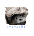 まるミラ（個別スタンプ：5）