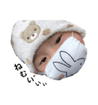 れいくんLIFE（個別スタンプ：5）