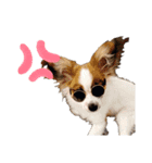 愛しのちくわ（個別スタンプ：4）