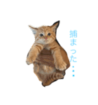 みちょの助みちょ太郎（個別スタンプ：1）