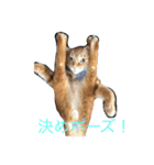 みちょの助みちょ太郎（個別スタンプ：2）