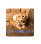みちょの助みちょ太郎（個別スタンプ：3）