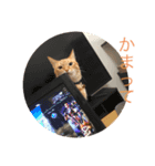 みちょの助みちょ太郎（個別スタンプ：4）