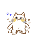 岡山弁 ねこスタンプ（個別スタンプ：30）