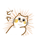 岡山弁 ねこスタンプ（個別スタンプ：37）