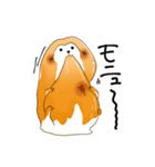 みたらしざる（個別スタンプ：12）