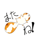 みたらしざる（個別スタンプ：13）
