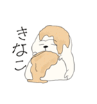みたらしざる（個別スタンプ：20）