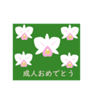 ポストカード風お祝いスタンプ（個別スタンプ：21）