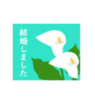 ポストカード風お祝いスタンプ（個別スタンプ：29）