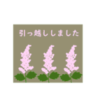 ポストカード風お祝いスタンプ（個別スタンプ：31）