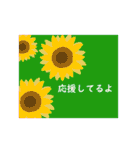 ポストカード風お祝いスタンプ（個別スタンプ：37）