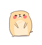 ふてぶてリチャードソンジリス（個別スタンプ：10）