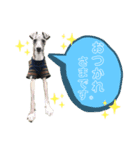 日々サニー（個別スタンプ：3）
