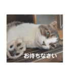 さすけ(またはキョロちゃん)（個別スタンプ：7）