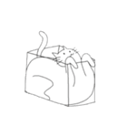 世界一自由気ままなネコ（個別スタンプ：13）