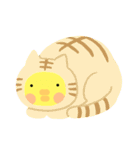 ひよの（個別スタンプ：31）