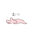等身大うさ（個別スタンプ：11）