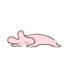 等身大うさ（個別スタンプ：23）