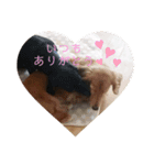 プリンとケリー（個別スタンプ：6）