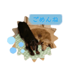 プリンとケリー（個別スタンプ：7）
